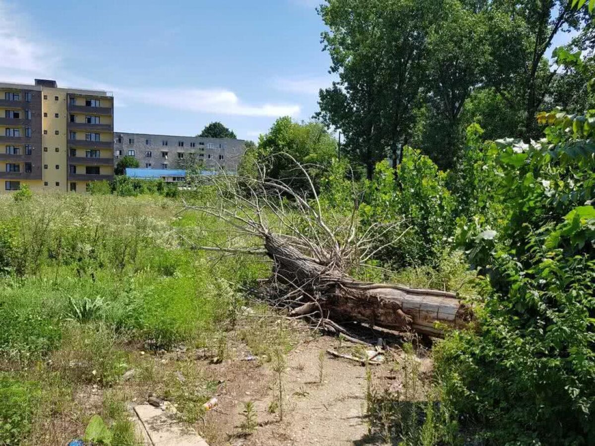 EXCLUSIV / VIDEO+FOTO Hipermarket pe locul fostei baze sportive Girueta! » Locuitorii din zonă sunt revoltaţi: "Vom ajunge în instanţă"