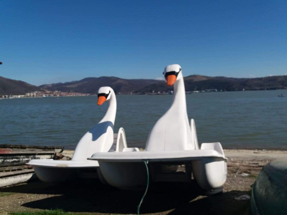 FOTO Lebedele-hidrobiciclete de la centrul național de pregătire pentru kaiac și canotaj sunt mai scumpe decât bărcile: "Șeful complexului taie și spânzură, nimeni nu-l întreabă de sănătate!"