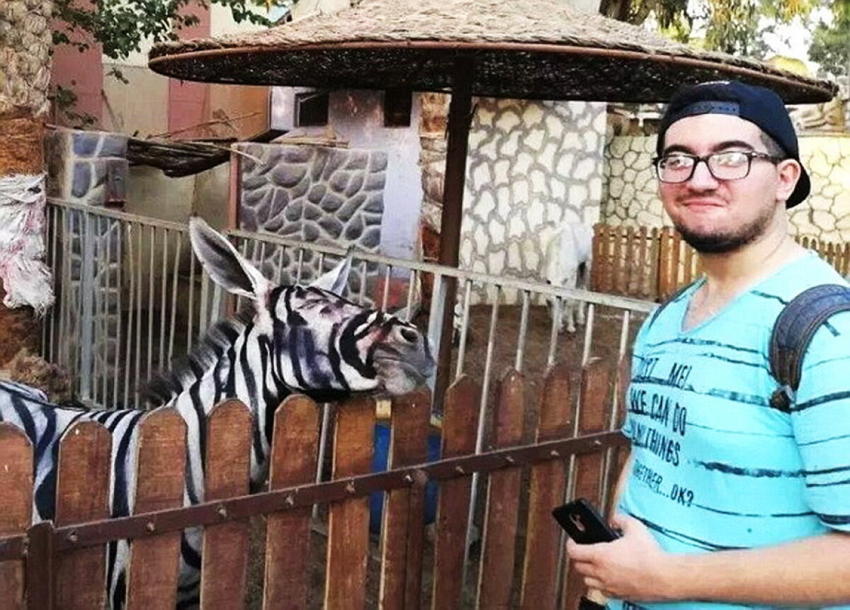 Farsă pe banii vizitatorilor la zoo » Măgar pictat în loc de zebră