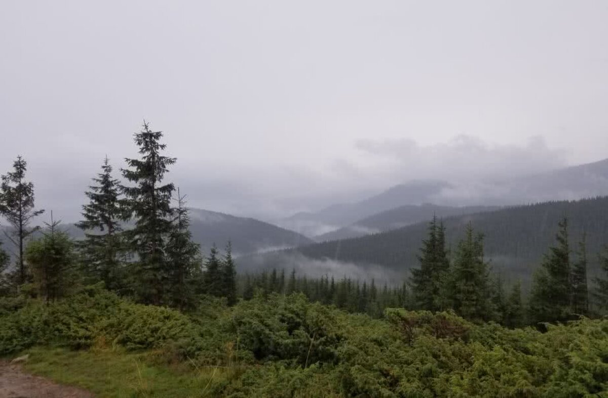 FOTOREPORTAJ EXCLUSIV Perla Carpaților e o ruină » Totul arată deplorabil