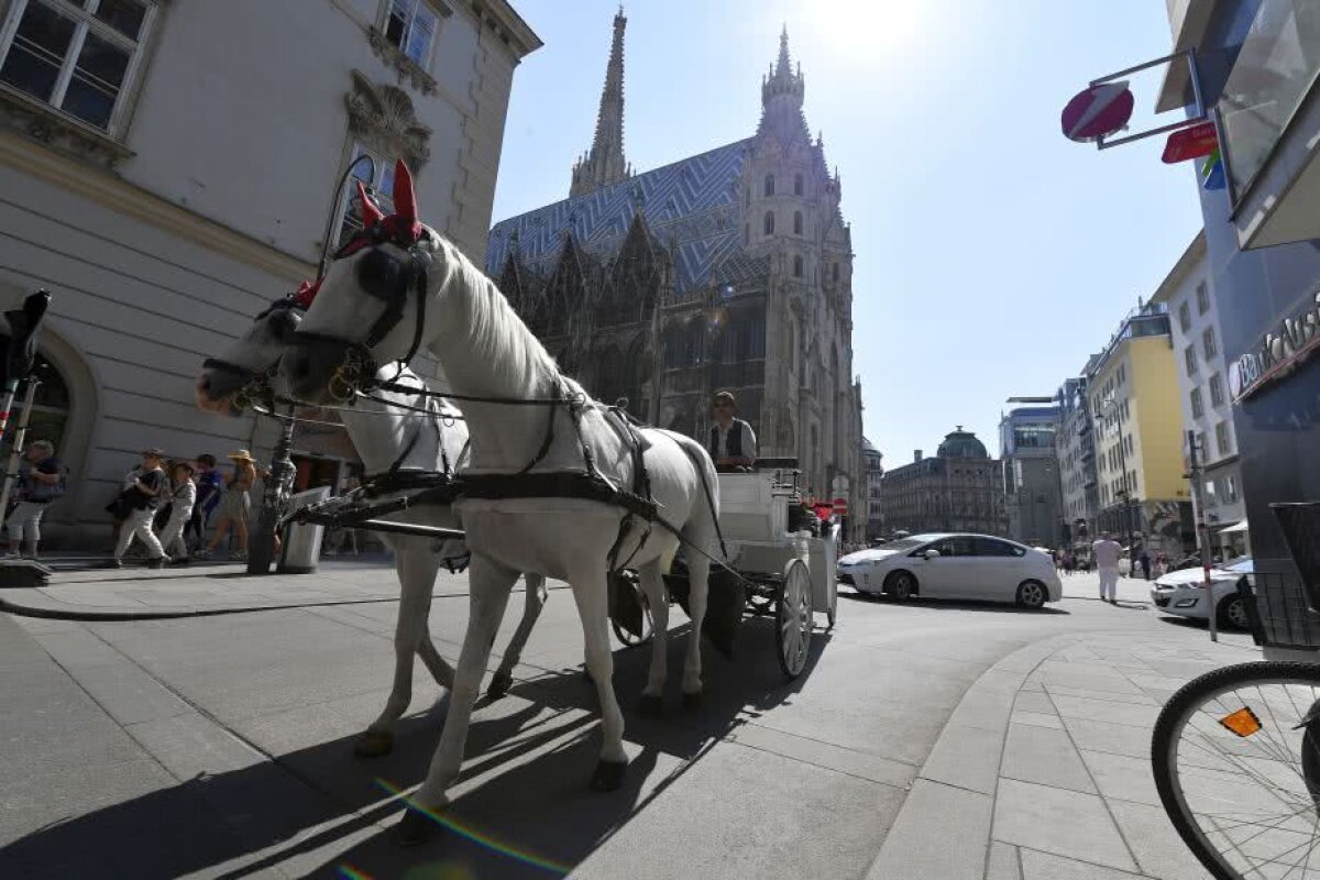 CORESPONDENȚĂ GSP DIN VIENA. GALERIE FOTO După 23 de ani » Cristian Geambașu, despre orașul unde FCSB luptă pentru calificarea în grupele Europa League 