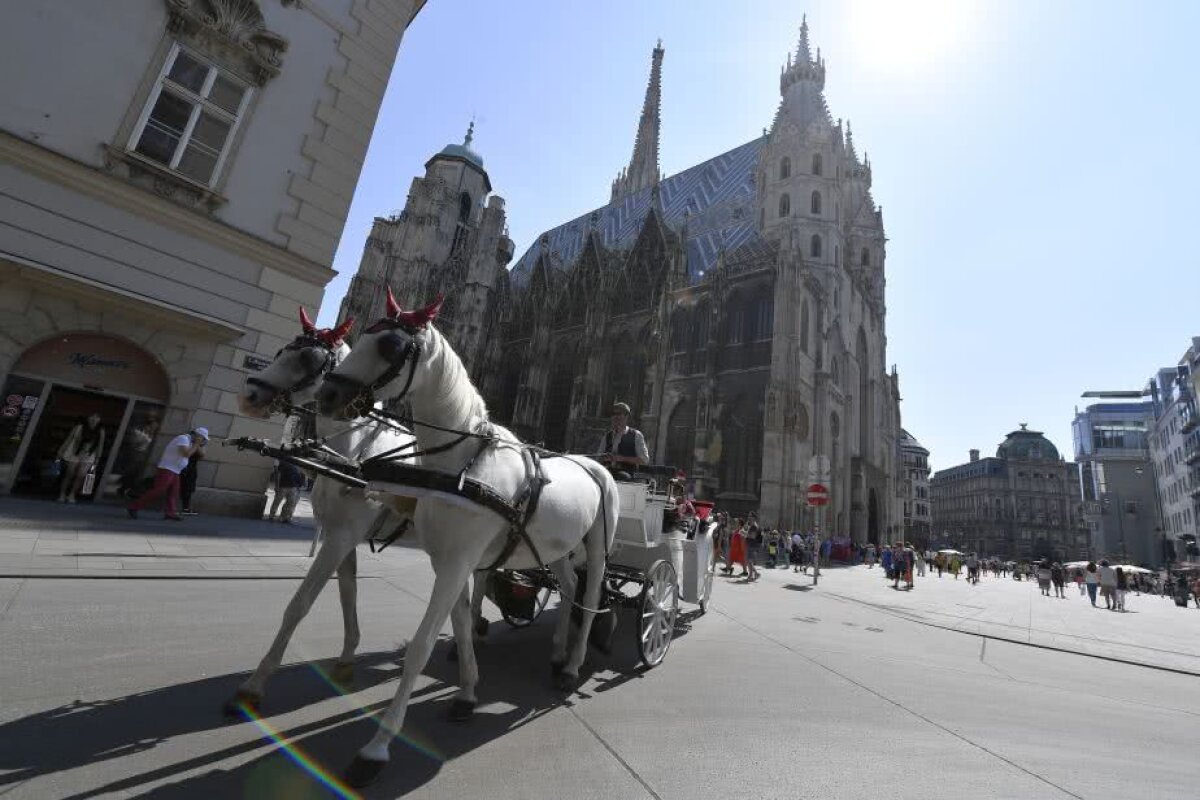 CORESPONDENȚĂ GSP DIN VIENA. GALERIE FOTO După 23 de ani » Cristian Geambașu, despre orașul unde FCSB luptă pentru calificarea în grupele Europa League 