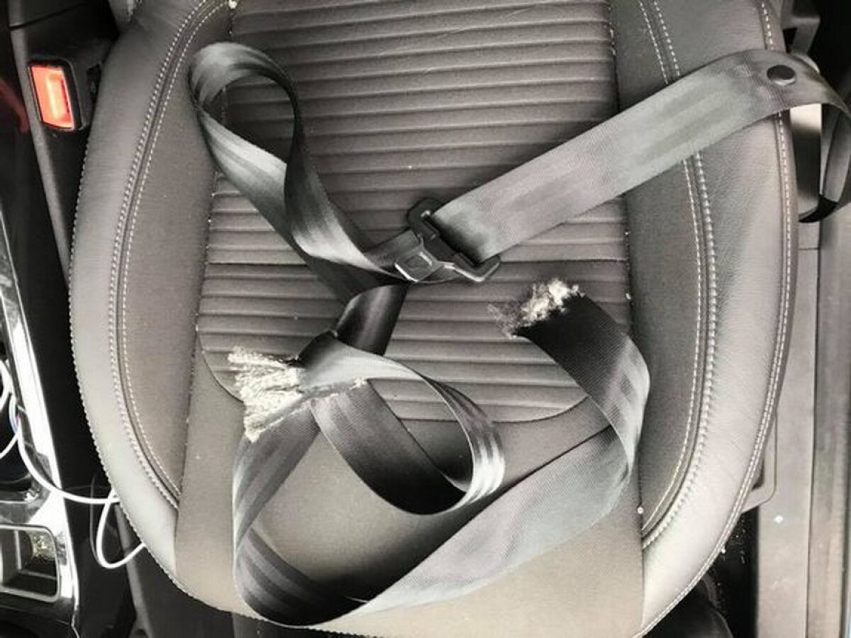 FOTO A cumpărat un hamster pentru fiul ei, apoi a regretat amarnic!