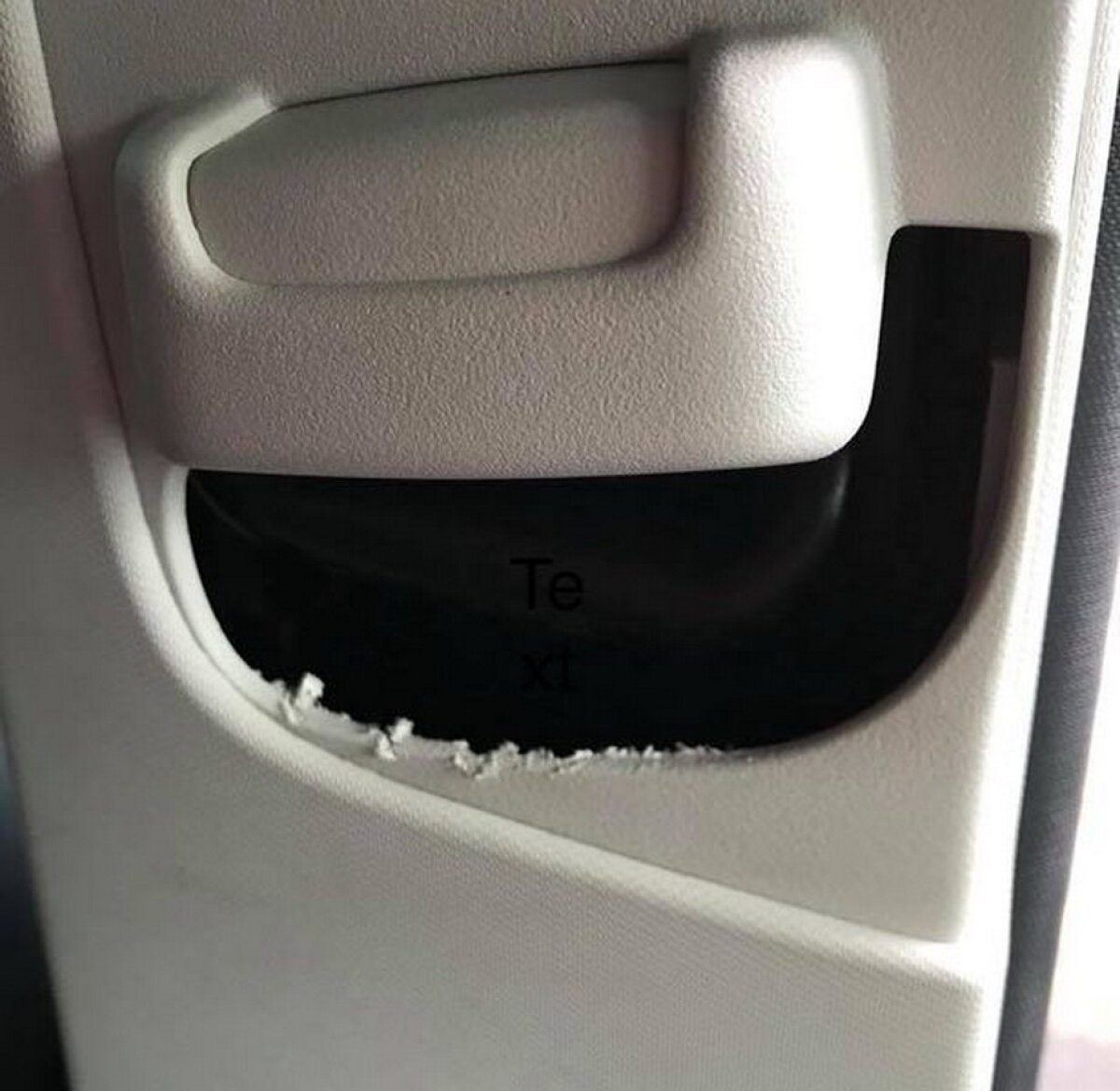 FOTO A cumpărat un hamster pentru fiul ei, apoi a regretat amarnic!