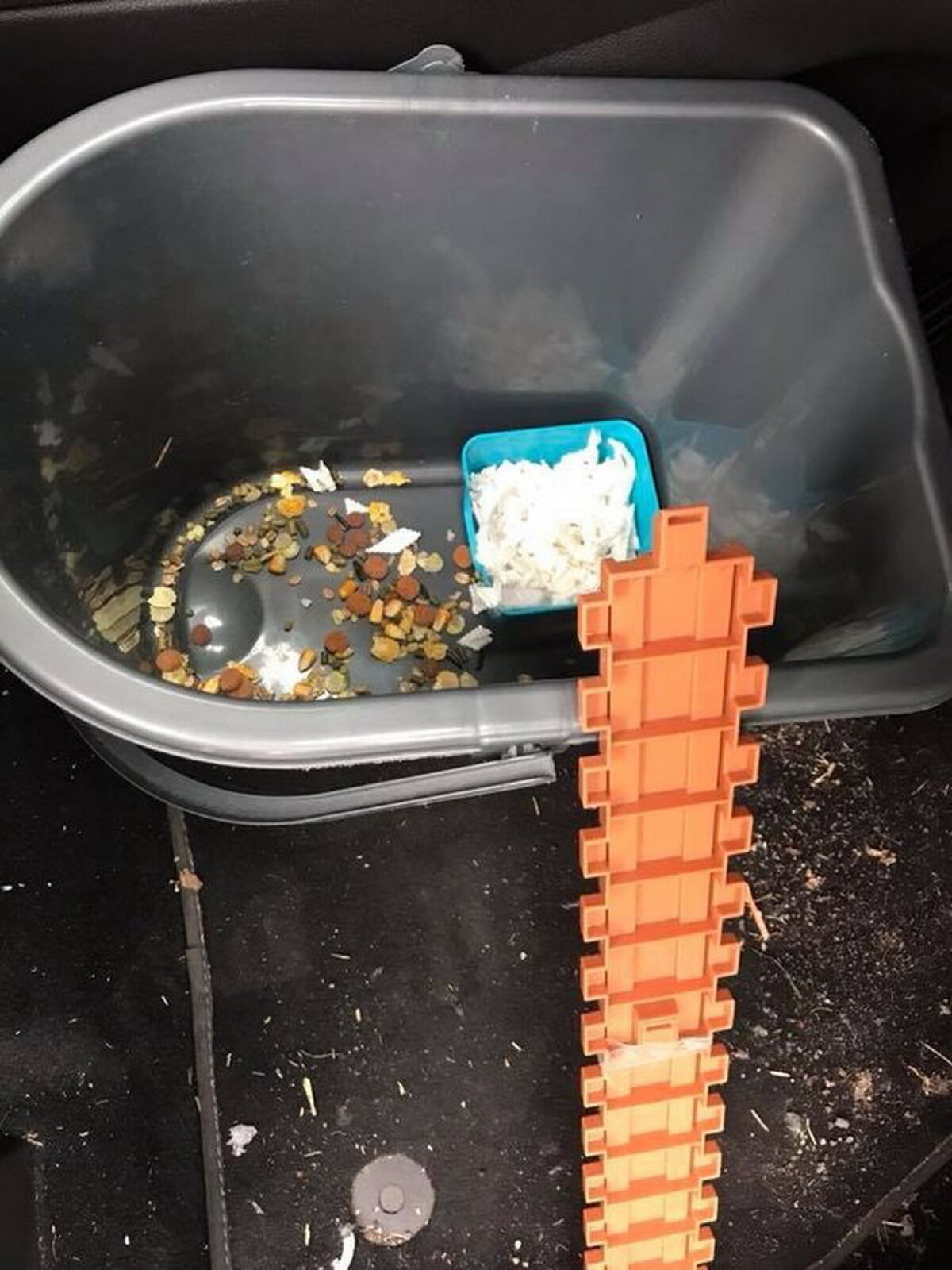 FOTO A cumpărat un hamster pentru fiul ei, apoi a regretat amarnic!