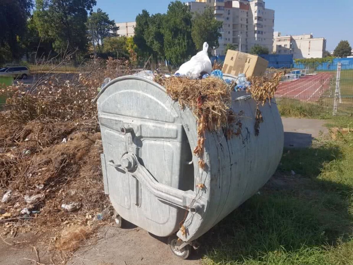  VIDEO+FOTO Ruinele cetății Callatis s-au extins » Imagini incredibile de pe stadionul din Mangalia, acolo unde au jucat Denis Alibec sau Cristi Săpunaru