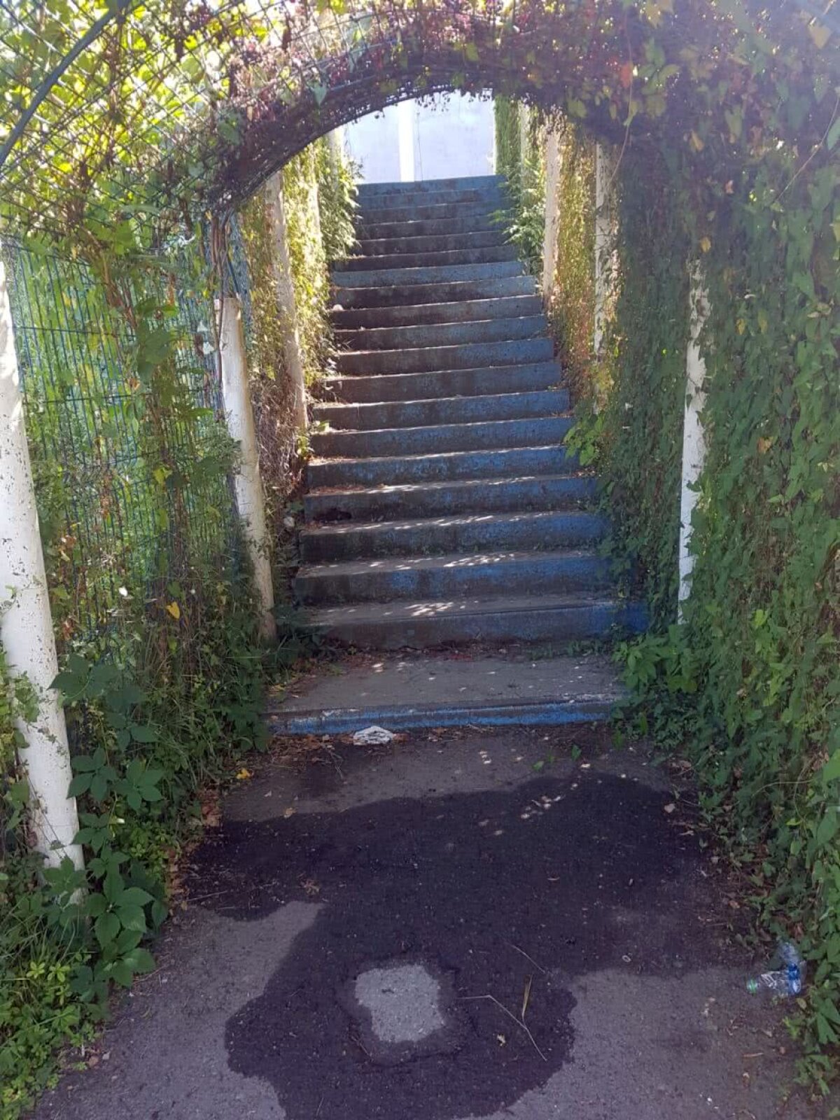  VIDEO+FOTO Ruinele cetății Callatis s-au extins » Imagini incredibile de pe stadionul din Mangalia, acolo unde au jucat Denis Alibec sau Cristi Săpunaru