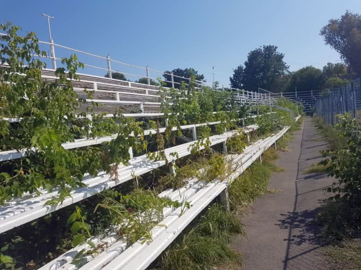  VIDEO+FOTO Ruinele cetății Callatis s-au extins » Imagini incredibile de pe stadionul din Mangalia, acolo unde au jucat Denis Alibec sau Cristi Săpunaru