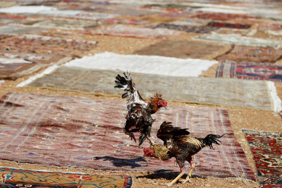 FOTO Spectaculos! Vă era dor de covoarele persane? Iată cum sunt produse în Turcia