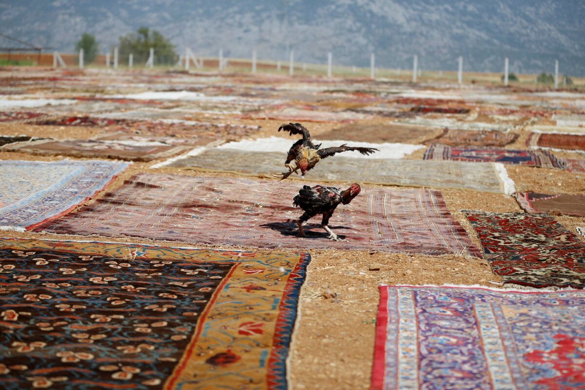 FOTO Spectaculos! Vă era dor de covoarele persane? Iată cum sunt produse în Turcia