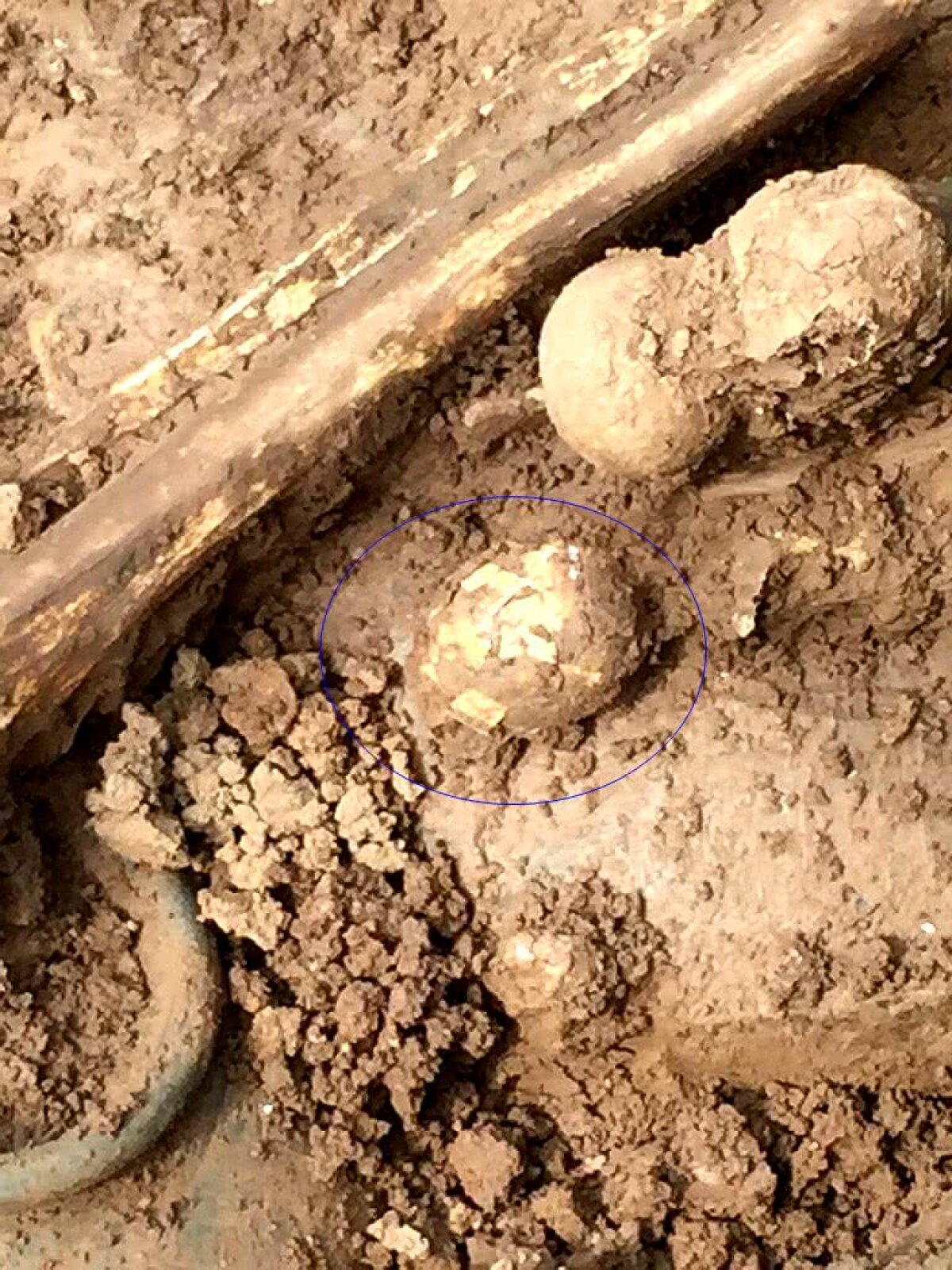 FOTO Au deschis un mormânt antic, iar ce au găsit în el i-a lăsat fără cuvinte pe arheologi