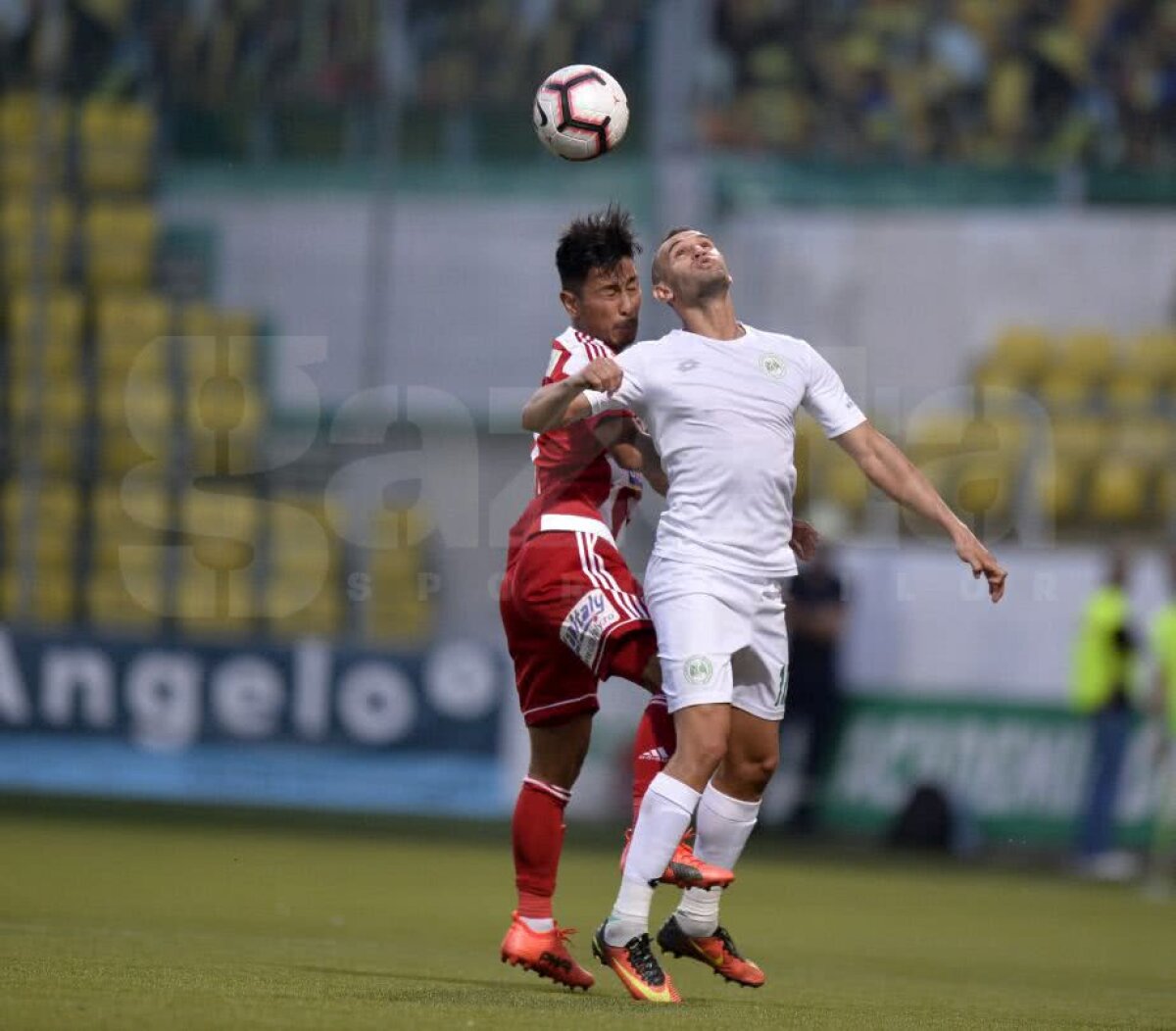 GALERIE FOTO Impecabili! Sepsi face instrucție la Chiajna, câștigă cu 3-0 și egalează FCSB în fruntea Ligii 1 