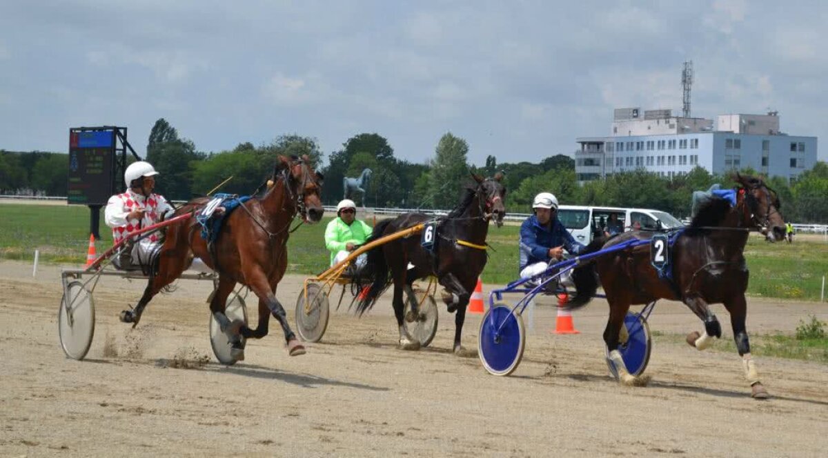 Cai pur sânge arab și englez se întrec pe Hipodromul Ploiești