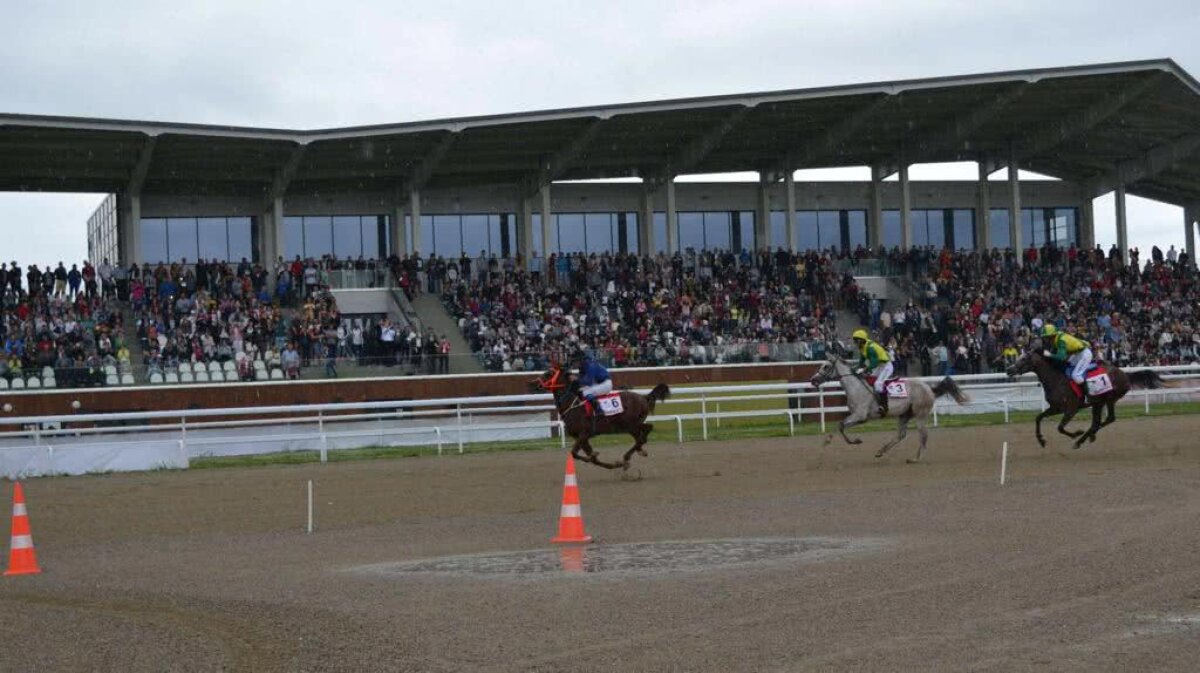 Cai pur sânge arab și englez se întrec pe Hipodromul Ploiești