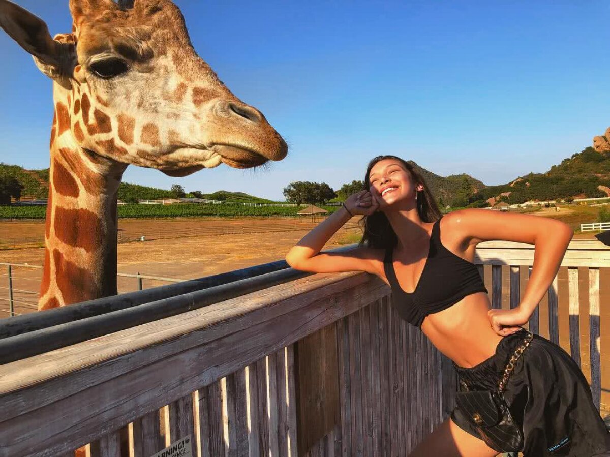 FOTO Superba Bella Hadid a realizat un nou pictorial incendiar: probabil cel mai sexy decolteu