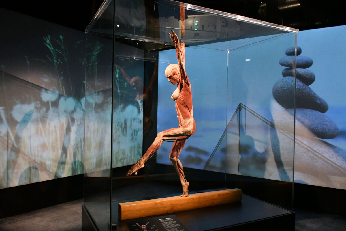 FOTO Cea mai stranie expoziție de la muzeu » Ai avea curaj să o privești?