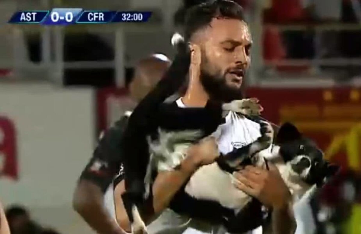 GALERIE FOTO Viață de câine: imagini antologice la Astra - CFR Cluj » Un patruped și-a făcut de cap și a fost escortat de Bejan