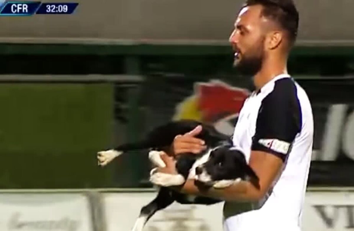 GALERIE FOTO Viață de câine: imagini antologice la Astra - CFR Cluj » Un patruped și-a făcut de cap și a fost escortat de Bejan