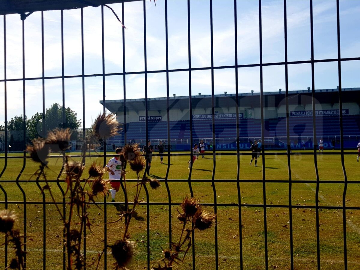 REDNIC LA DINAMO // "Câinii" au făcut scor de maidan la ultimul meci al lui Niculescu » LIVE făcut dintr-o vie: antrenorul a refuzat să mai stea pe bancă