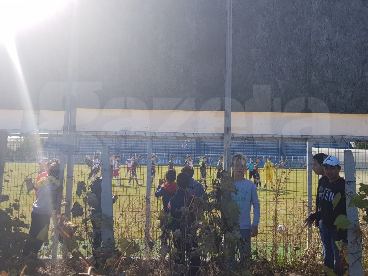 REDNIC LA DINAMO // "Câinii" au făcut scor de maidan la ultimul meci al lui Niculescu » LIVE făcut dintr-o vie: antrenorul a refuzat să mai stea pe bancă