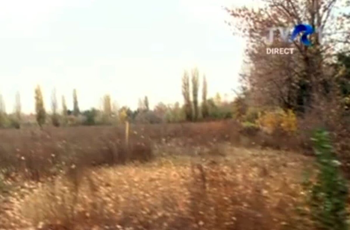 VIDEO + FOTO Imagini apocaliptice! ProRapid a ajuns o ruină » Cum arată acum baza de pregătire: terenuri acoperite cu buruieni și clădiri degradate