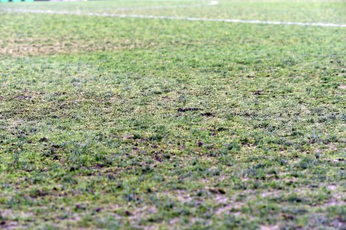 FCSB - ASTRA GIURGIU // FOTO Rușinos! Gazonul de pe Arena Națională se prezintă în condiții deplorabile la meciul FCSB - Astra