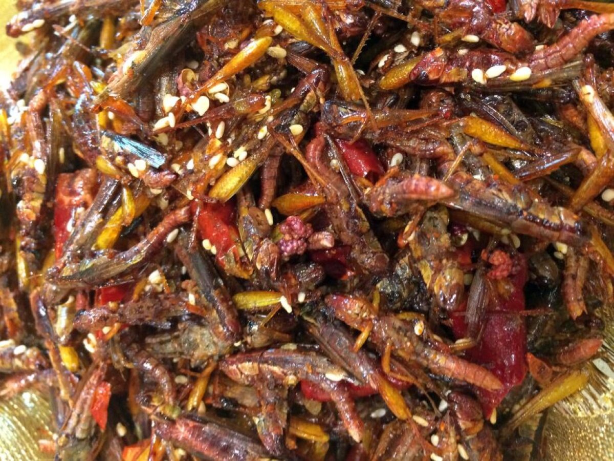 EXCLUSIV Fost fotbalist la Dinamo și Rapid, a ajuns antrenor la "naționala" Mongoliei: "Am prins -40 de grade și am mâncat greieri"