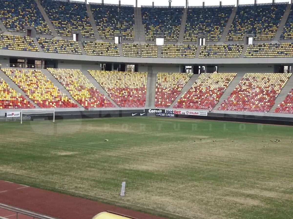 EXCLUSIV VIDEO + FOTO Se joacă pe plajă! Gazonul de pe Arena Națională este ORIBIL cu 3 zile înainte de Dinamo-FCSB