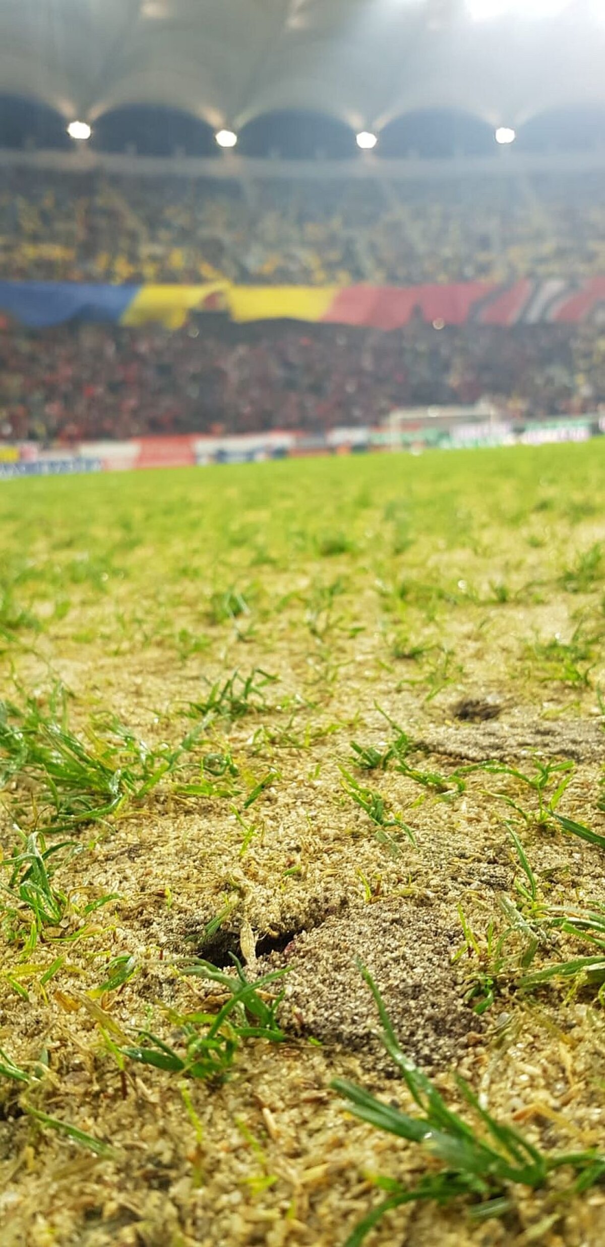 FOTO DINAMO - FCSB // Gazon HORROR pe Arena Națională! Derby-ul va avea de suferit