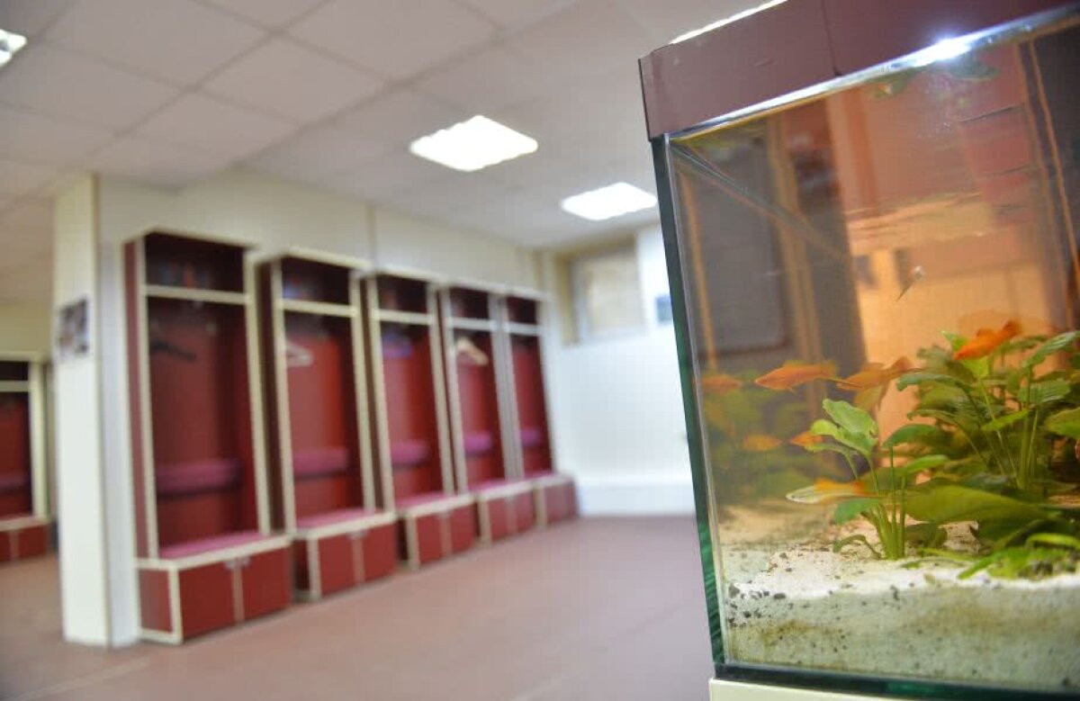 GALERIE FOTO Vin buldozerele, rămân amintirile » 12 povești de senzație din Giulești: gazdă pentru regimuri, vestiarul pentru pitici și meciurile care au rămas în istorie