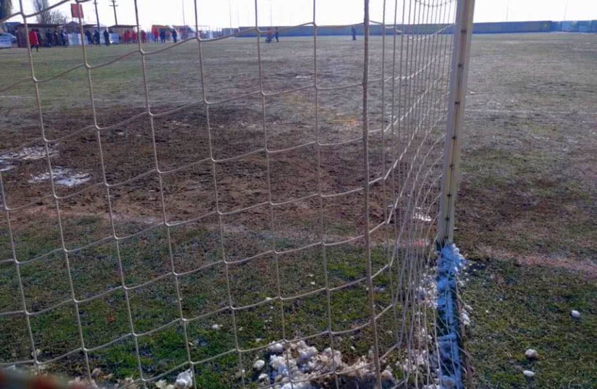 FOTO Imagini epocale în fotbalul românesc » Au "răsărit" cartofii pe un teren din liga secundă