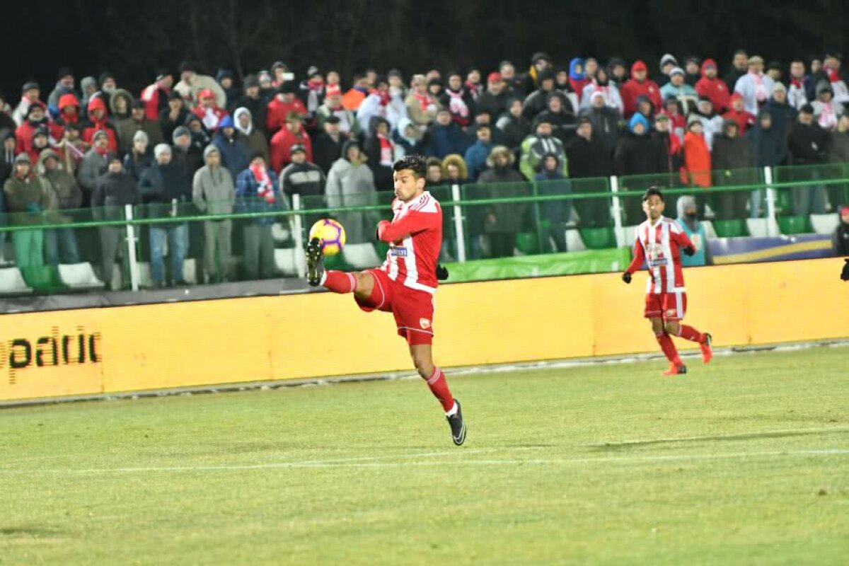 SEPSI - FCSB 4-2 // VIDEO + FOTO "Moș Nicolae" Dică umilit de Sepsi! Echipa lui Neagoe a făcut un meci perfect și a demolat FCSB