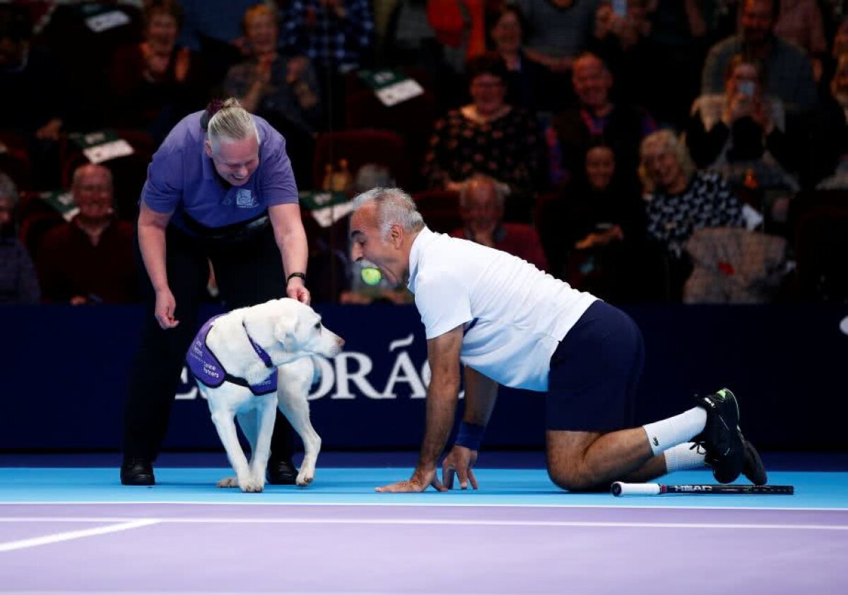 GALERIE FOTO Viitorul tenisului? Copiii de mingi au fost înlocuiți » Au adus câini la turneul de astăzi din Londra