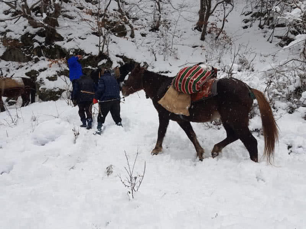 Dincolo de off, sunt on » Despre campania umanitară a celor de la Off-Road Adventure Romania