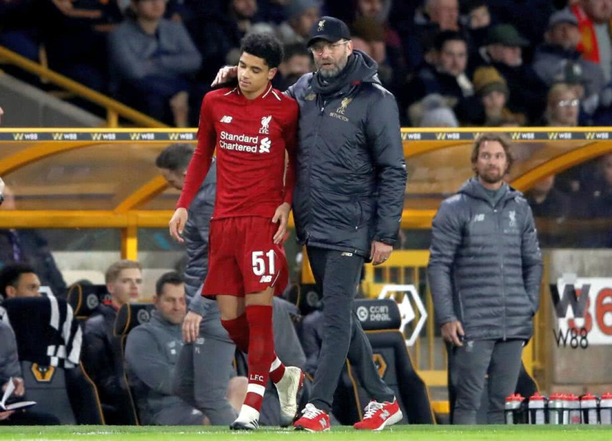 Fotografia zilei - cele mai interesante imagini ale lunii ianuarie 2019