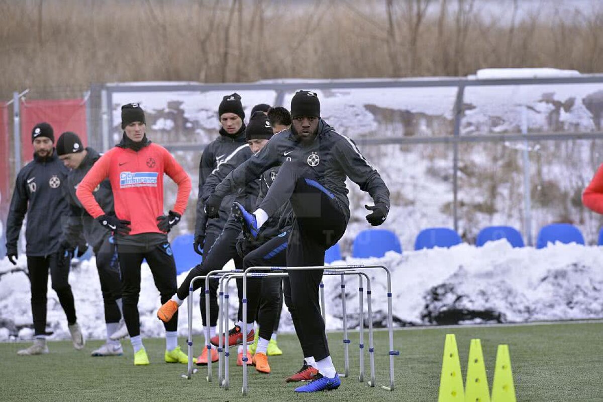 GALERIE FOTO Imagini de la antrenamentul FCSB-ului de azi! Teja și Matei, din nou în echipamentul roș-albaștrilor 