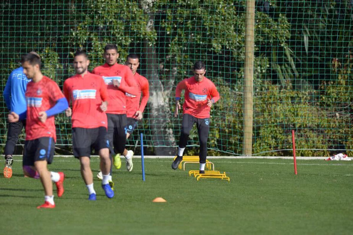 VIDEO+FOTO Veste bună pentru FCSB » Gnohere s-a pregătit normal + primele imagini cu Stoian sub comanda lui Teja