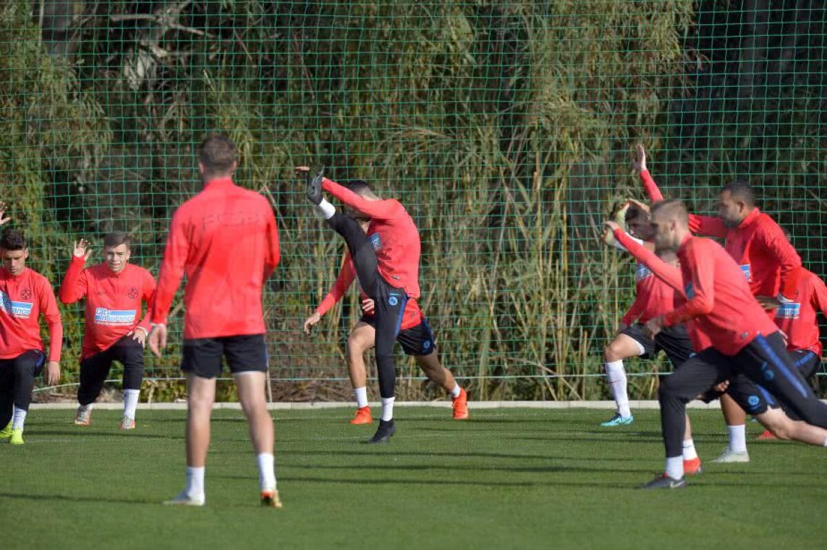 VIDEO+FOTO Veste bună pentru FCSB » Gnohere s-a pregătit normal + primele imagini cu Stoian sub comanda lui Teja