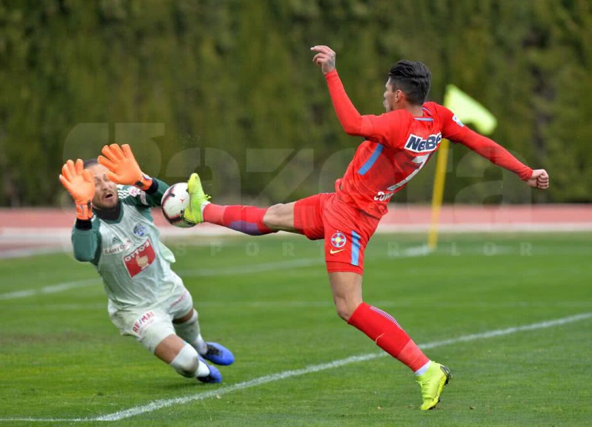 FCSB - FC LUCERNA 0-0 // VIDEO+FOTO FCSB blocată în primul amical al iernii, 0-0 cu Lucerna » Florinel Coman trage cu dinții să rămână titular