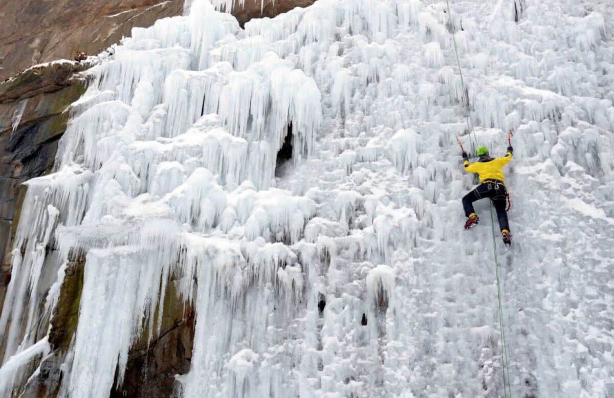 Fotografia zilei - cele mai interesante imagini ale lunii februarie 2019