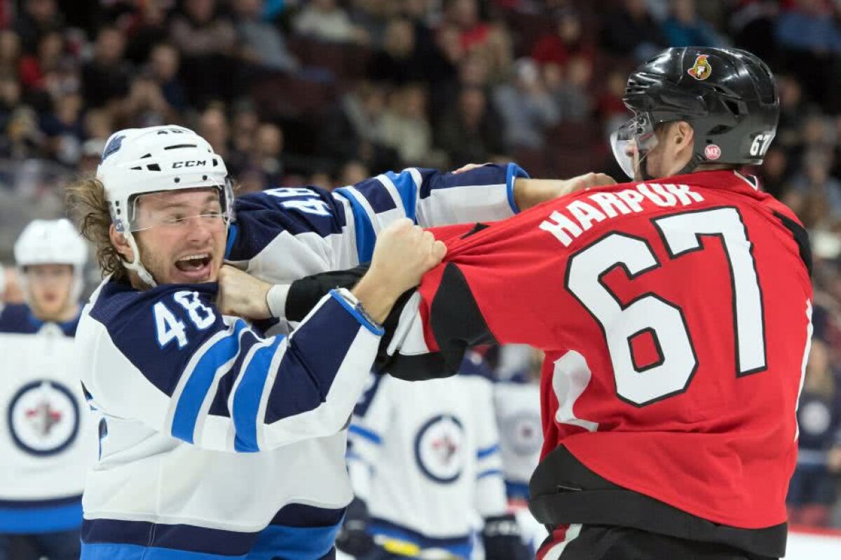 Fotografia zilei - cele mai interesante imagini ale lunii februarie 2019