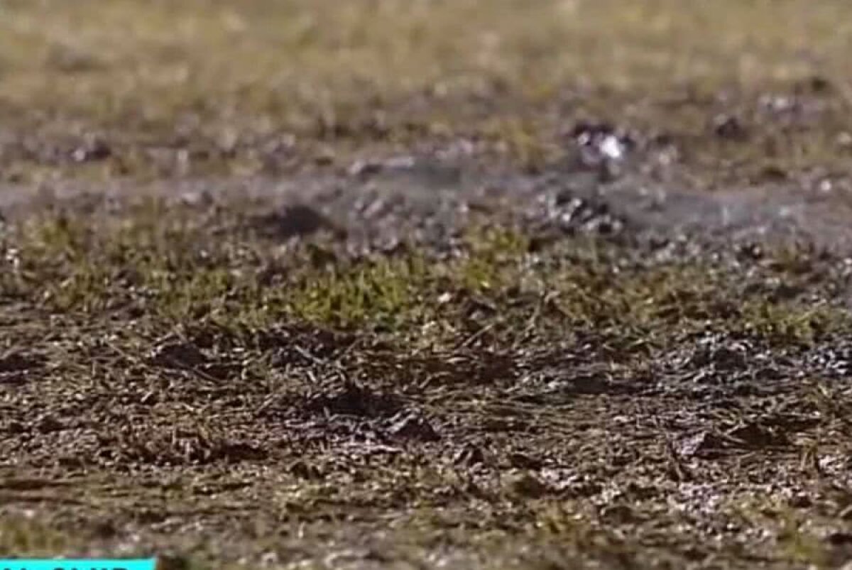 CSIKSZEREDA - CS U CRAIOVA // FOTO+VIDEO Déjà-vu pentru olteni? Cum arată gazonul de la Miercurea Ciuc înaintea ultimului meci din sferturile Cupei