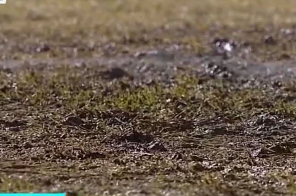 CSIKSZEREDA - CS U CRAIOVA // FOTO+VIDEO Déjà-vu pentru olteni? Cum arată gazonul de la Miercurea Ciuc înaintea ultimului meci din sferturile Cupei