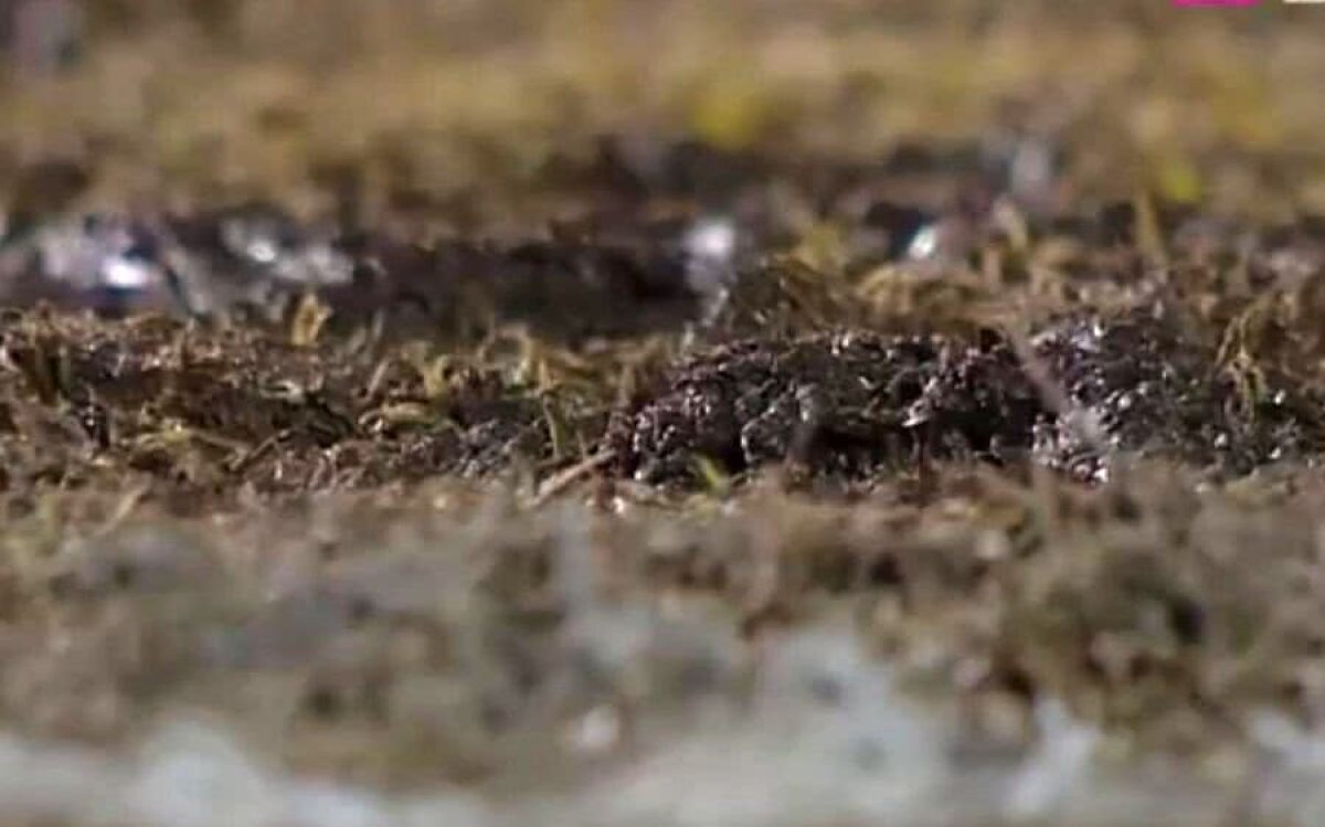 CSIKSZEREDA - CS U CRAIOVA // FOTO+VIDEO Déjà-vu pentru olteni? Cum arată gazonul de la Miercurea Ciuc înaintea ultimului meci din sferturile Cupei