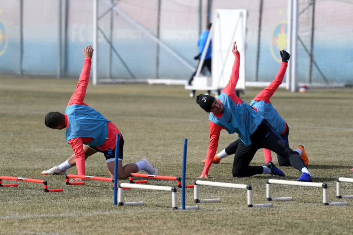 FCSB // GALERIE FOTO + VIDEO 25 de imagini de la antrenamentul FCSB-ului de azi: cum pregătește Mihai Teja meciul cu FC Voluntari