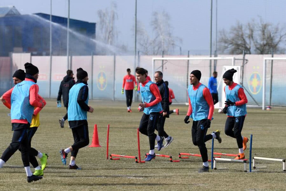 FCSB // GALERIE FOTO + VIDEO 25 de imagini de la antrenamentul FCSB-ului de azi: cum pregătește Mihai Teja meciul cu FC Voluntari