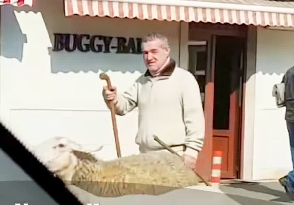 VIDEO Gigi Becali a blocat circulația pe bulevardul Pipera din București » Imagini senzaționale surprinse astăzi