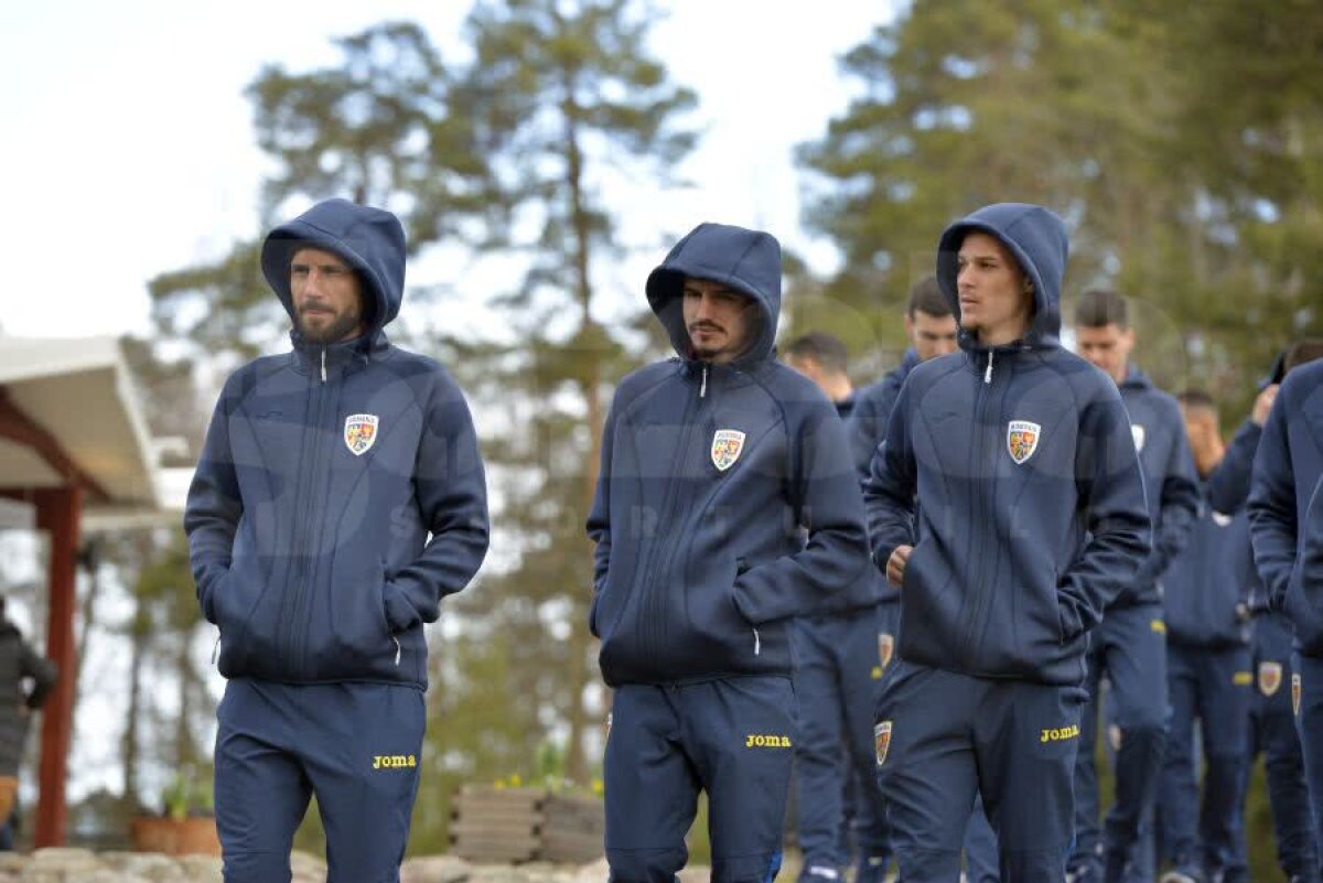 SUEDIA - ROMÂNIA // GALERIE FOTO „Tricolorii” s-au relaxat cu câteva ore înaintea debutului în preliminariile EURO 2020. Dennis Man a condus plutonul