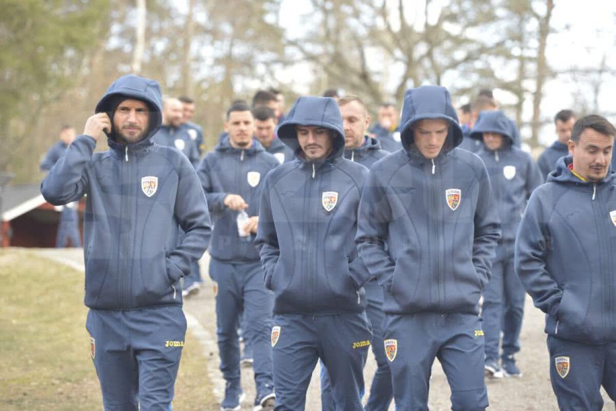 SUEDIA - ROMÂNIA // GALERIE FOTO „Tricolorii” s-au relaxat cu câteva ore înaintea debutului în preliminariile EURO 2020. Dennis Man a condus plutonul