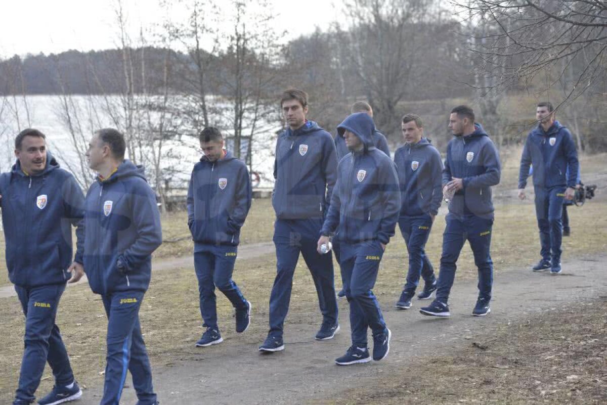 SUEDIA - ROMÂNIA // GALERIE FOTO „Tricolorii” s-au relaxat cu câteva ore înaintea debutului în preliminariile EURO 2020. Dennis Man a condus plutonul